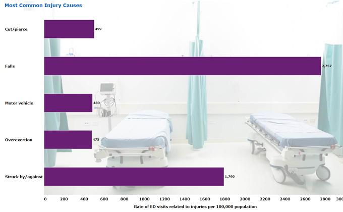 Overview of Emergency Department Visits Related to Injuries, by Cause of Injury, 2017