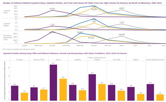 Flu’s Annual Impact Visualized