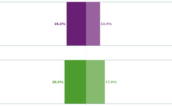 Opioid Use Among Elderly & Non-Elderly Adults by Socioeconomic Characteristics