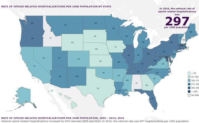 Trends in the Rate of Opioid-Related Hospitalizations