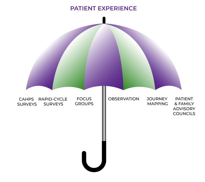 Patient Experience is represented as an open umbrella. Under it are CAHPS Surveys, Rapid-Cycle Surveys, Focus Groups, Observation, Journey Mapping, and Patient and Family Advisory Councils.