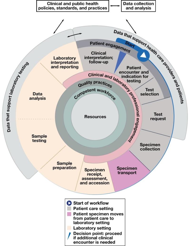 Figure 1: Diagram of concentric circles showing the expanded representation of the total testing process (TTP). This expanded representation of the TTP specifies 11 steps that are supported by the application of data, quality practices, a competent workforce, and engagement among the patient, laboratory, and healthcare professionals.