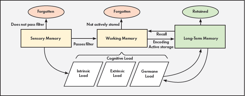 Figure 1 shows the interplay between types of memory and cognitive load. A flow chart begins with Sensory Memory; if it does not pass filter, it is Forgotten; if it passes filter, it becomes Working Memory. If Working Memory is not actively stored, it is Forgotten; if it is encoded as active storage, it becomes Long-Term Memory and can be Retained and Recalled to Working Memory. Long-Term Memory interacts with the Cognitive Load, which consists of Intrinsic Load, Extrinsic Load, and Germane Load. Cognitive Load can be accessed into Working Memory. Sensory Memory can also enter Intrinsic Load.