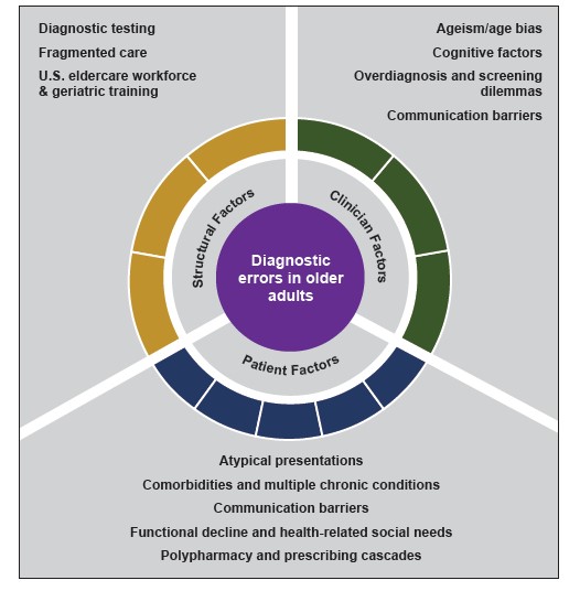 Figure is two concentric circles divided into three sections. The first section is captioned Diagnostic testing, Fragmented care, US eldercare workforce and geriatric training; the outer circle is captioned Structural Factors.  The second section is captioned Age/ageism bias. Cognitive factors, Overdiagnosis and screening dilemmas, Communication barriers; the outer circle is captioned Clinician Factors. The third section is captioned Atypical presentations, Comorbidities and multiple chronic conditions, Communication barriers, Functional decline and health related social needs, Polypharmacy and prescribing cascades; the outer circle is captioned Patient Factors. The inner circle is captioned Diagnostic errors in older adults.