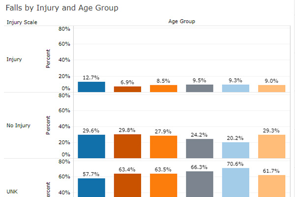 Snapshot of a chart from the Falls Dashboard