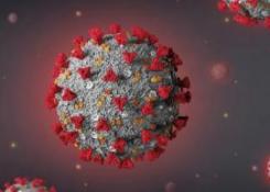 Image: Coronavirus