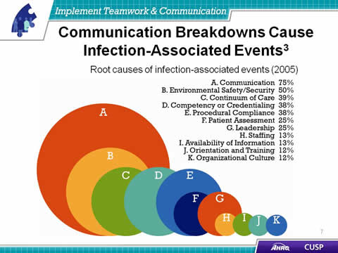 Slide 7 Image