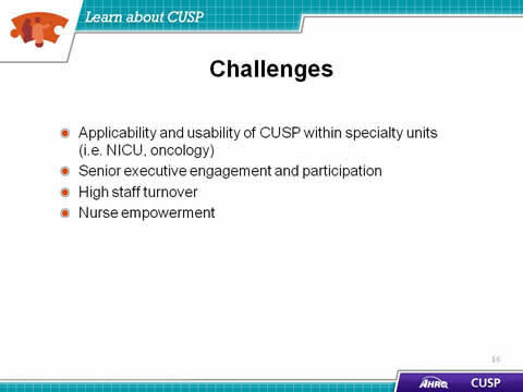 Applicability and usability of CUSP within specialty units (i.e. NICU, oncology). Senior executive engagement and participation. High staff turnover. Nurse empowerment.