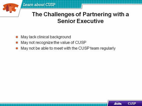 May lack clinical background. May not recognize the value of CUSP. May not be able to meet with the CUSP team regularly.