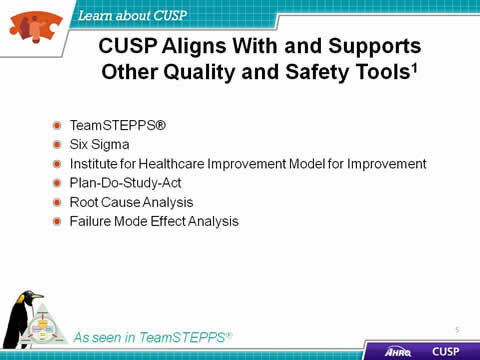 TeamSTEPPS. Six Sigma. Institute for Healthcare Improvement Model for Improvement. Plan-Do-Study-Act. Root Cause Analysis. Failure Mode Effect Analysis. Image: TeamSTEPPS logo and penguin.