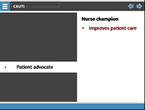 Nurse champion. Patient advocate: Improves patient care