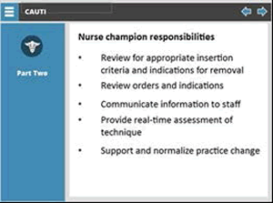 Nurse champion responsibilities: review for appropriate insertion criteria and indications for removal, review orders and indications, communicate information to staff, provide real-time assessment of technique, support and normalize practice change