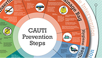 Cauti Prevention Steps