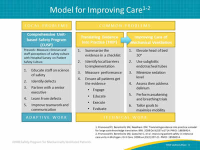 Image: Graphic showing the combination Comprehensive Unit-based Safety Program (CUSP) and TRIP model for solving local and common problems through the use of adaptive work and technical work.