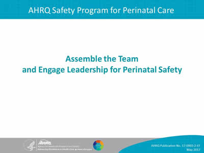 Assemble the Team and Engage Leadership for Perinatal Safety | Agency ...