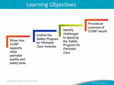 Image: Slide diagrams four steps going up from left to right. The "SAY" portion at left narrates the text in each of the four steps.