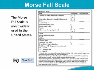 Morse Fall Scale