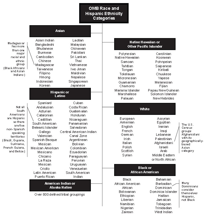 Chart shows the categories for race and Hispanic ethnicity: Asian, Hispanic or Latino, American Indian or Alaska Native, Native Hawaiian or Other Pacific Islander, White, Black or Africian American. For details, go to [D] Text Description below.