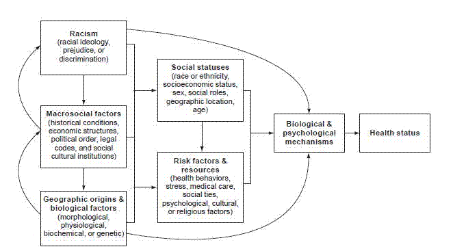 Framework for understanding the relationships between race, medical/health care, and health. For details, go to [D] Text Description below.