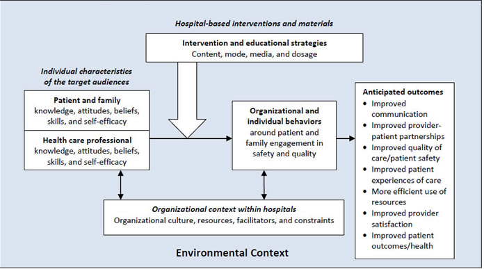 Exhibit 1. Preliminary Conceptual Framework. Select D or Text description for more details.