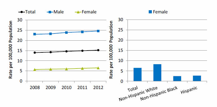 Graph and chart show suicide deaths per 100,000 population. Go to tables below for details.