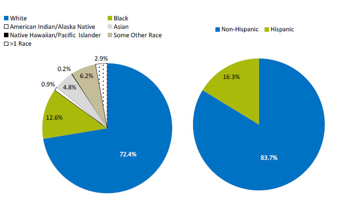 Two pie charts show the racial and ethnic makeup of the U.S. population: White, 72.4%; Black, 12.6%; American Indian/Alaskan Native, 0.9%; Asian, 4.8%; Native Hawaiian/Pacific Islander, 0.2%; Some Other Race, 6.2%; More than One Race, 2.9%. Non-Hispanic, 83.7%; Hispanic, 16.3%.