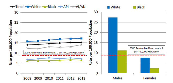 Charts show suicide deaths per 100,000 population. Text descriptions are below the image.