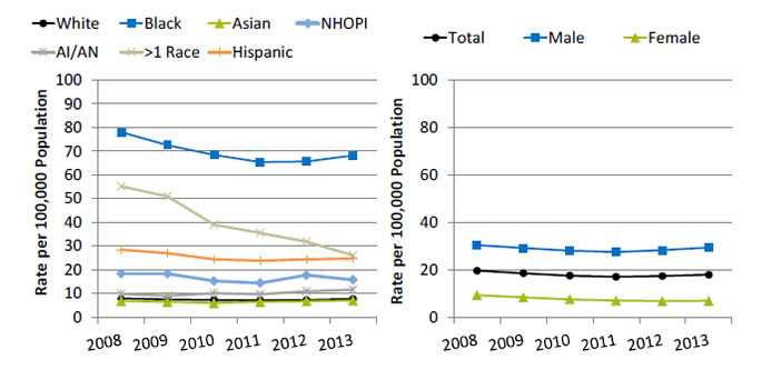 Charts show new HIV cases per 100,000 population age 13 and over, by race/ethnicity and sex. Text description is below the image.