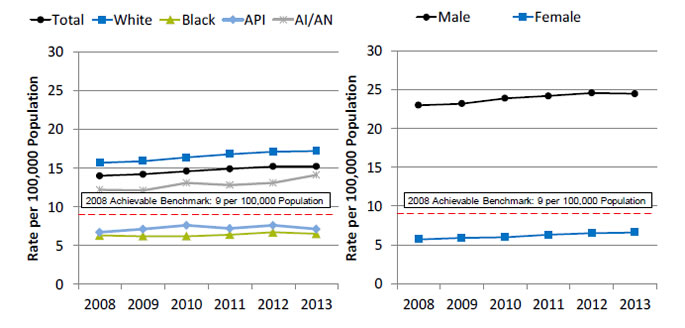 Charts show suicide deaths per 100,000 population age 12 and over, by race/ethnicity and sex. Text description is below the image.