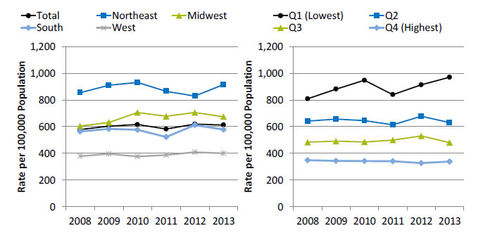 Charts show emergency department visits for asthma, by hospital region and income. Text description is below the image.