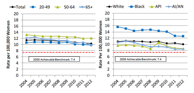 Charts show invasive cervical cancer incidence per 100,000 women age 20 years and over, by age and race. Text description is below the image.