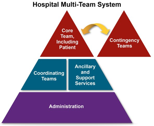 A hospital multi-team structure is pyramid shaped with administration at the base, coordinating teams and ancillary and support services above that, and the core team, including the patient, at the top. Contingency teams are also at the top but may be outside the main multi-team structure.